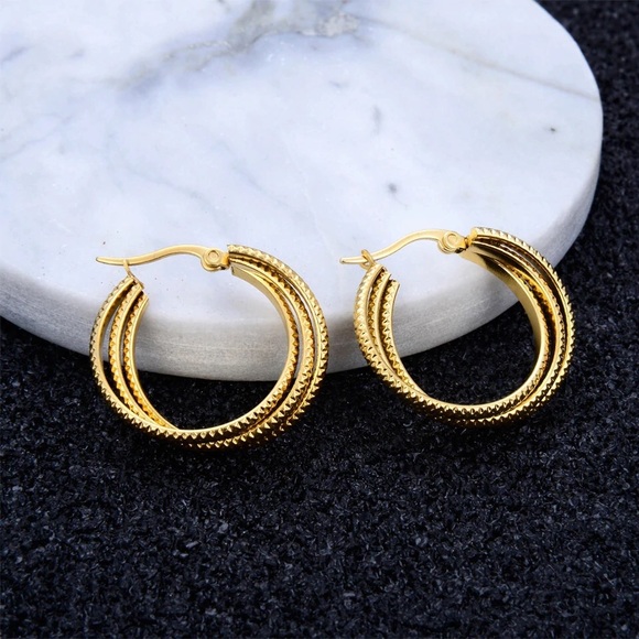 Stainless steel hoop circle twisted earrings - Picture 4 of 6